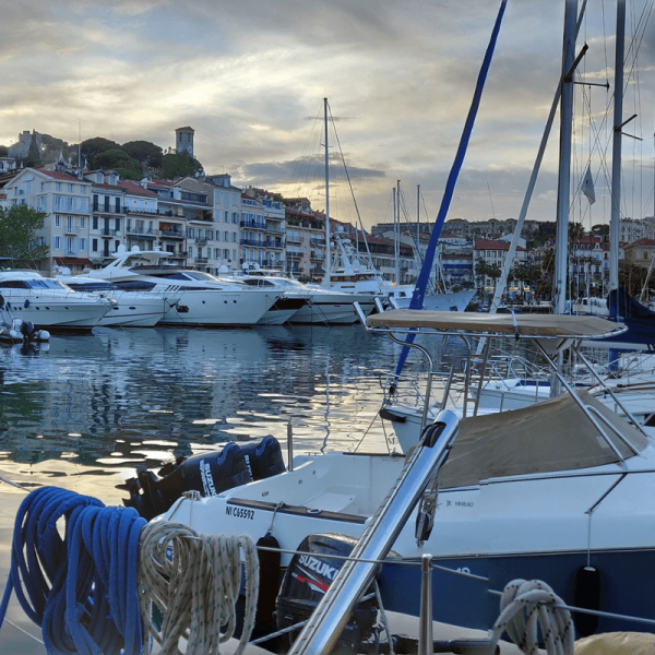 Festival de Cannes 2022